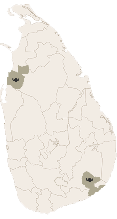 Sri Lanka Map