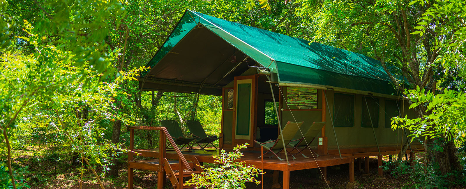 A green-roofed safari tent on a wooden platform among leafy trees